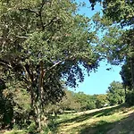 La Casita De Rose 26M2 Proche Plage Hendaye Et Frontiere Parking Prive Calme Jardin Bed & Breakfast Urrugne