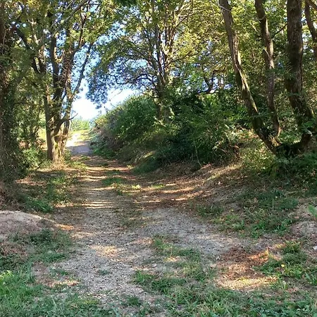 La Casita De Rose Au Calme Proche D'hendaye - 26 M2 Bien Equipe Parking Prive Jardin Frühstückspension 4*