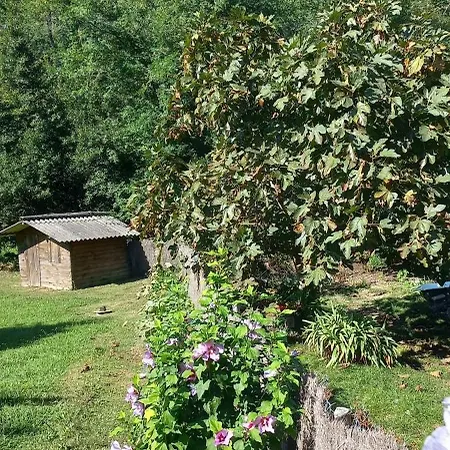 La Casa: Tranquil With Private Parking And Garden *