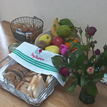 La Casita De Rose Au Calme Proche D'hendaye - 26 M2 Bien Equipe Parking Prive Jardin