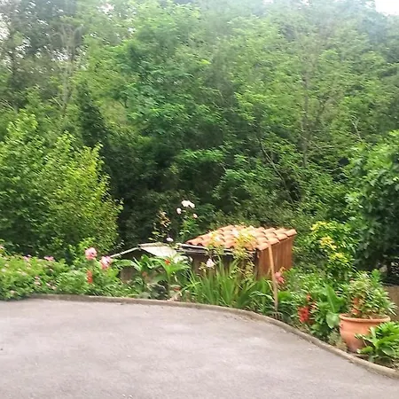 לינה וארוחת בוקר La Casita De Rose אורונייה
