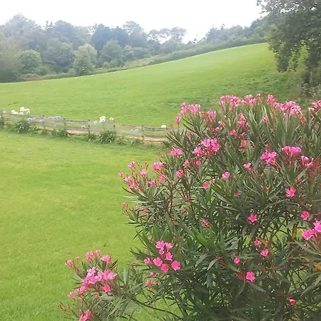 La Casita De Rose * אורונייה