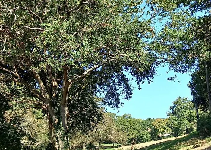 La Casita De Rose Au Calme Proche D'hendaye - 26 M2 Bien Equipe Parking Prive Jardin Bed & Breakfast Urrugne