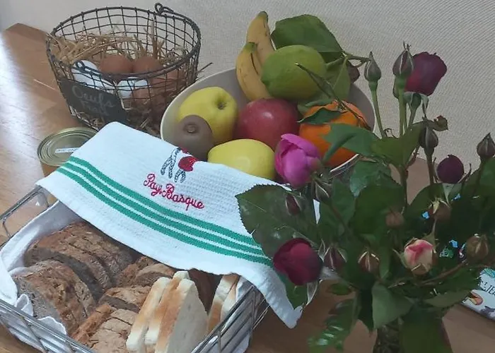 La Casita De Rose Au Calme Proche D'hendaye - 26 M2 Bien Equipe Parking Prive Jardin